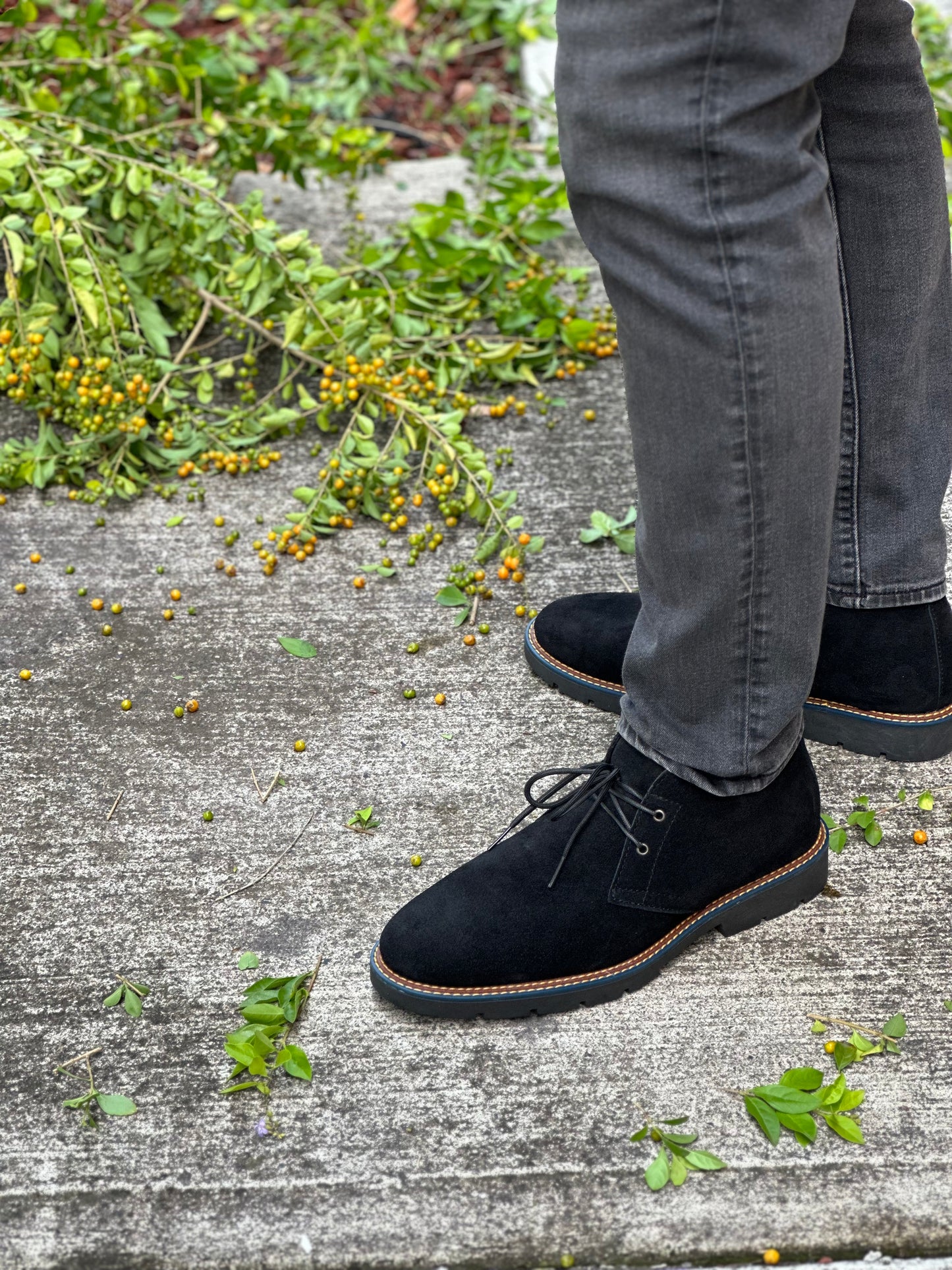 Chukka boots gamuza negra